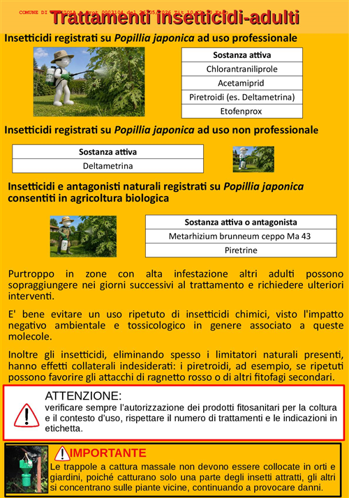 Popillia japonica: informazioni per i comuni ricadenti in zona infestata